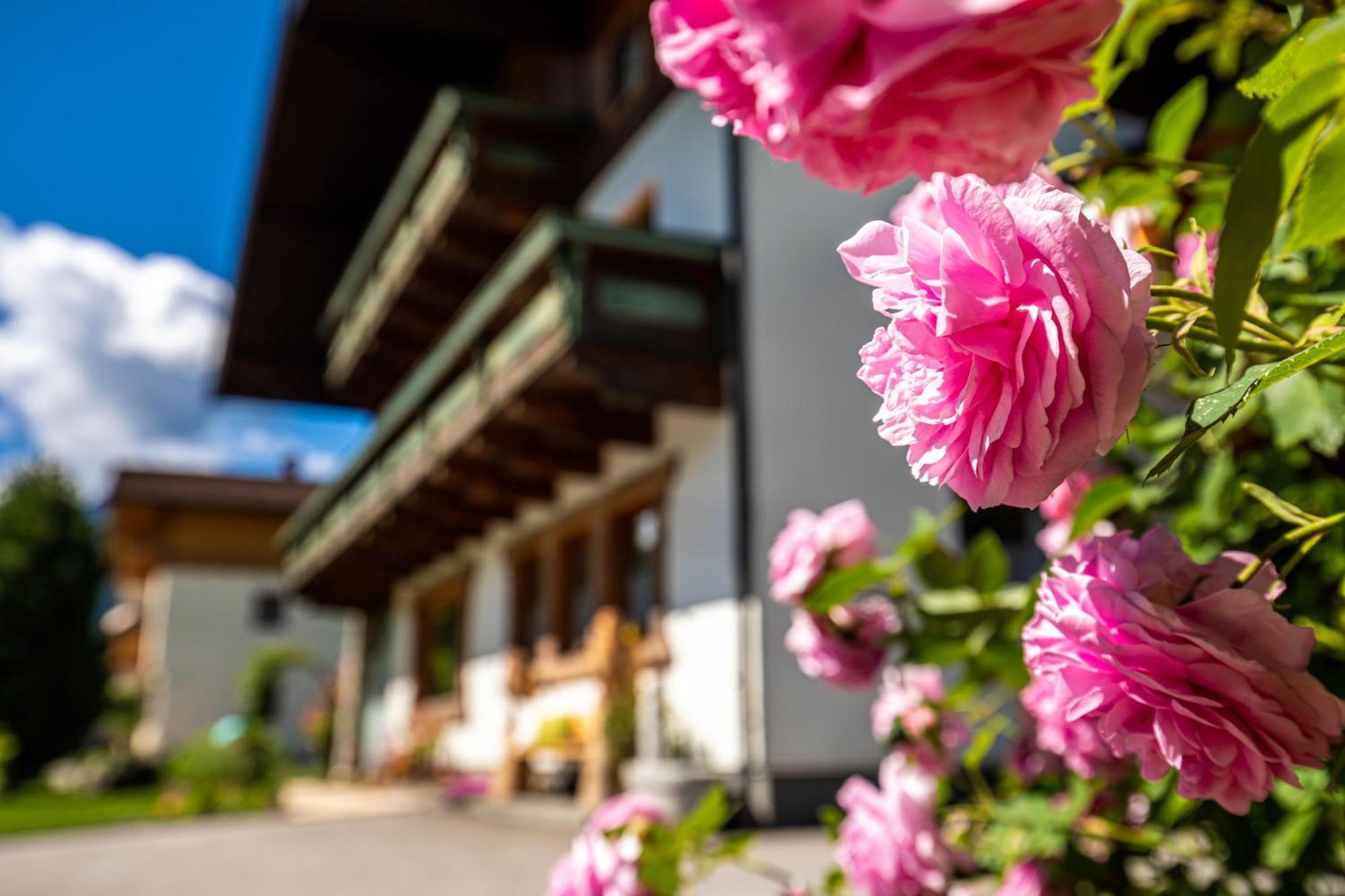 Holiday Im Gaestehaus Warter In Altenmarkt Altenmarkt im Pongau Exterior photo
