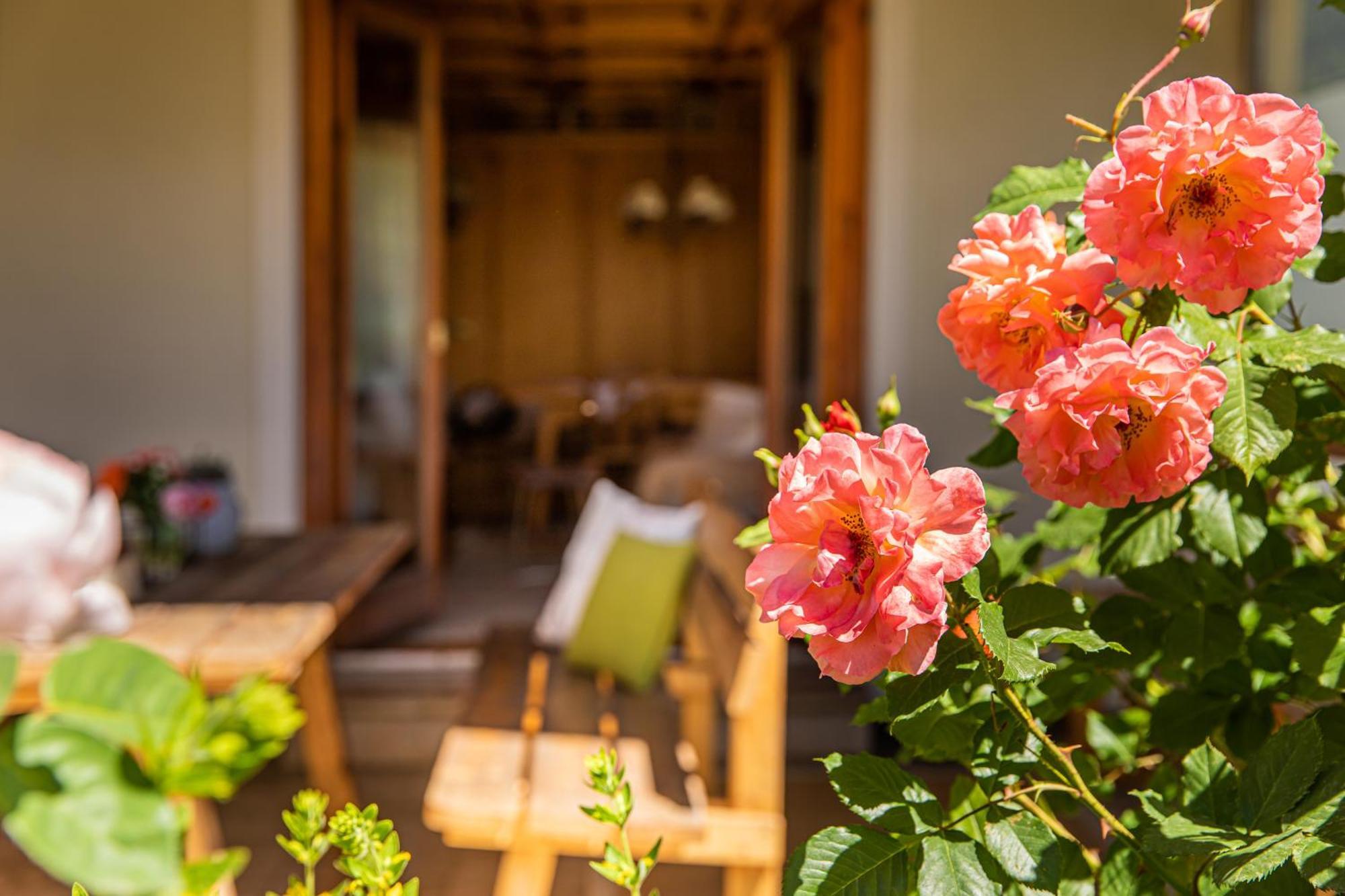 Holiday Im Gaestehaus Warter In Altenmarkt Altenmarkt im Pongau Exterior photo